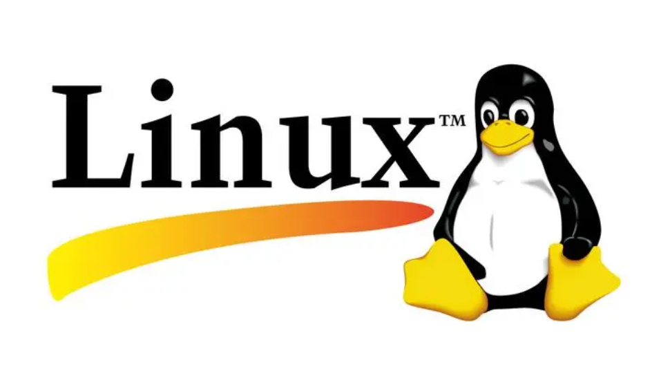 Linux 基础命令入门